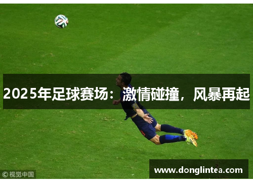 2025年足球赛场：激情碰撞，风暴再起