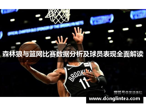 森林狼与篮网比赛数据分析及球员表现全面解读