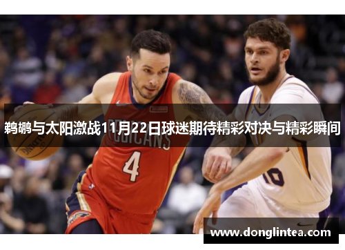 鹈鹕与太阳激战11月22日球迷期待精彩对决与精彩瞬间