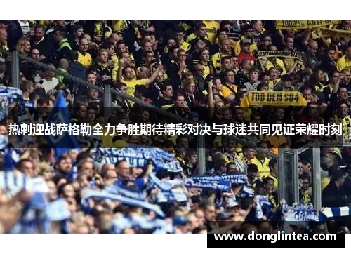 热刺迎战萨格勒全力争胜期待精彩对决与球迷共同见证荣耀时刻